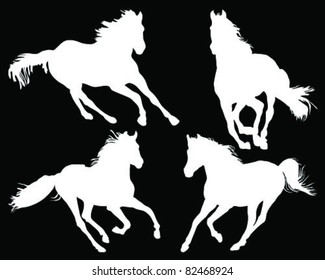 Four white horses on a black background-vector