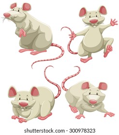 Four white mice doing different actions on white background