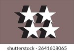Four White Stars Black Shadows Notan