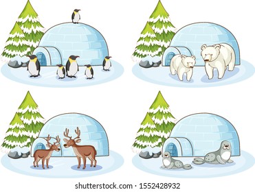 Four winter scenes with different animals illustration