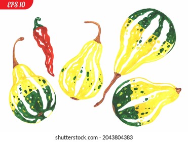 Four yellow-green pumpkins and one red pepper isolated on a white background. Everything is grouped and decomposed into layers. Vector illustration.