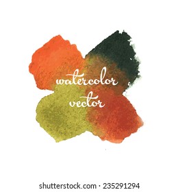 Four-color  watercolor texture. Vector illustration.