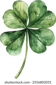 Four-Leaf Clover Green Watercolor Hand-Drawn Illustration