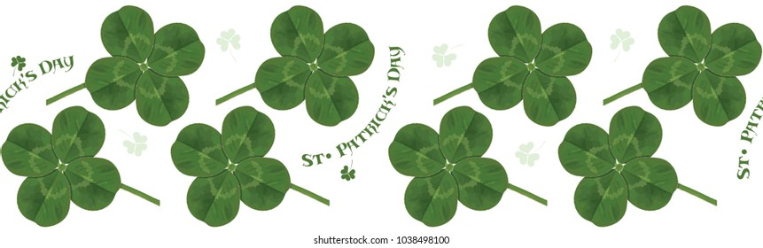 Four-leaf clover. Irish symbol for the feast of St. Patrick. Horizontal seamless pattern, isolated on white, vector illustration