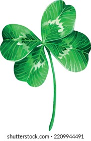 Four-leaf clover. St.Patrick 's Day. Symbol of happiness.