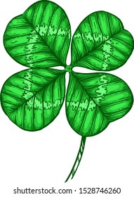 Four-leaf clover. Vector illustration. Ink graphics.
