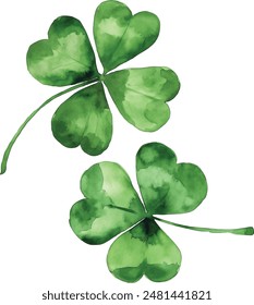 Four-leaf clover. Watercolor illustration on white