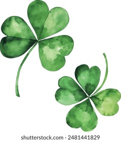 Four-leaf clover. Watercolor illustration on white