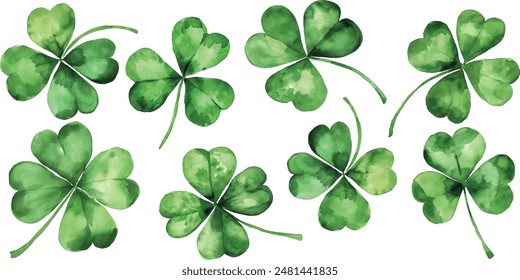 Four-leaf clover. Watercolor illustration on white