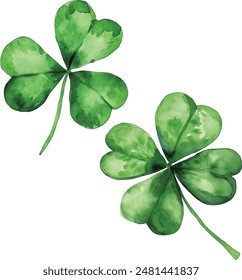 Four-leaf clover. Watercolor illustration on white