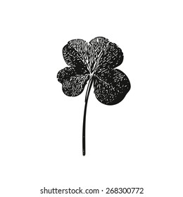 Fourleaf, hand illustration, irish saint patrick day vector