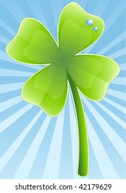 Four-leafs clover