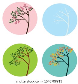 four-season tree set circle background