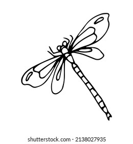 Four-spot skimmer dragonfly. Alaska State symbol. Vector outline icon.