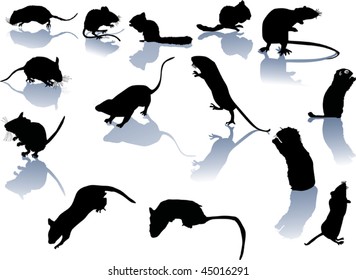 fourteen rodent silhouettes isolated on white background