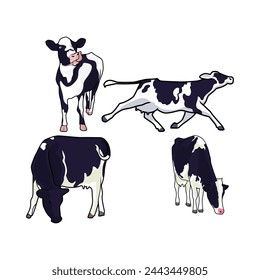 A fourth positions of dairy cows vector 