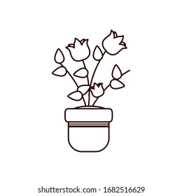 fowers inside pot line style icon design, natural floral nature plant ornament garden decoration and botany theme Vector illustration
