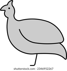 fowl guinea fowl bird chicken farming Outline