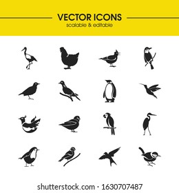 Fowl icons set with finch bird, robin bird and humming bird elements. Set of fowl icons and swift concept. Editable vector elements for logo app UI design.