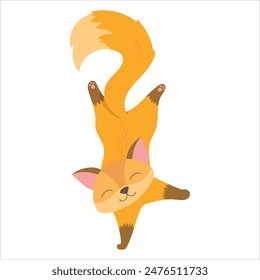 Fox acrobat. Circus. Circus actor. Fluffy animal. Trick. Decoration for a holiday or fair. Vector illustration isolated on white background.