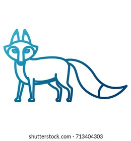 Fox animal cartoon