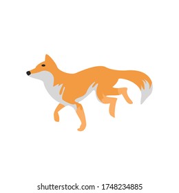 Fox Animal Cartoon Vector Illustration

