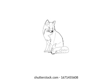 Fox Animal Cartoon Vector Outline Illustration