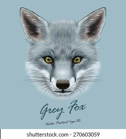 Fox animal face. Vector cute grey head. Realistic winter fur grey wild fox portrait on blue background.