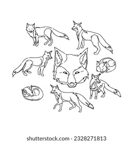 fox, animal, isolated, wild, illustration, vector, nature, art, cute, character, wildlife, cartoon, design, set, drawing, mammal, orange, tail, graphic, fur, hand drawn doodle illustrations vector set