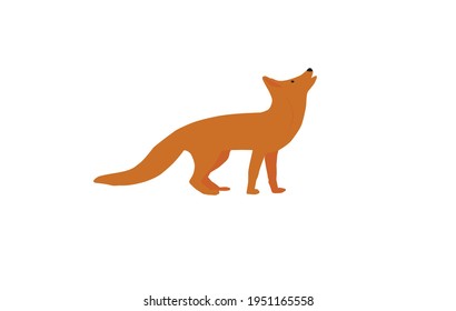 Fox animal logo vector with white background