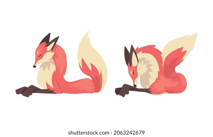 Fox Animal with Upright Ears, Pointed Snout and Long Bushy Tail in Different Poses Vector Set