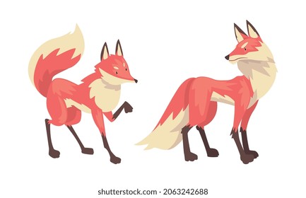 Fox Animal with Upright Ears, Pointed Snout and Long Bushy Tail in Different Poses Vector Set