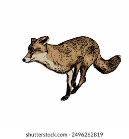 Fox animal vector ilustration design 