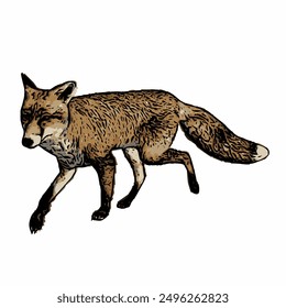 Fox animal vector ilustration design 