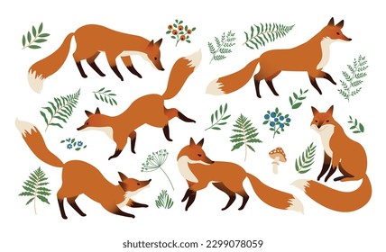 Fox-Tier-Aquarellfarbensatz. Wild süßer Fuchs sitzt und steht Elemente. Sammlung von Waldtieren und Kräutern. Weißer Hintergrund. Rote Füchse und naturbelassene Waldelemente