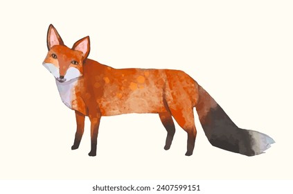 Fox, ilustración del vector de acuarela de fauna silvestre animal.