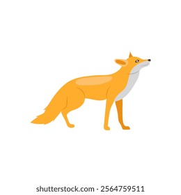 Fox , Autumn Isolated Vector Illustration