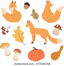 fox autumn vector isolated set 