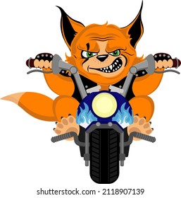 Fox biker. Vector illustration on a white background.