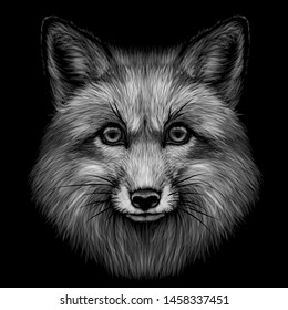 
Fox. Black and white graphic portrait of Fox on a black background.