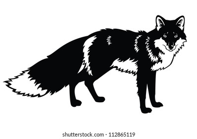  fox, black and white,side view vector image isolated on white background