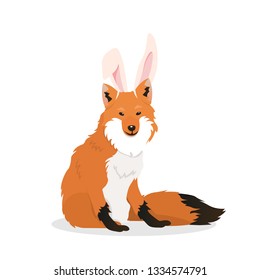 A fox with bunny ears