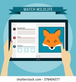 Fox cartoon portrait and website about wildlife. Digital tablet. 