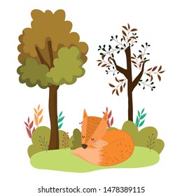 Fox cartoon vector design vector illustration