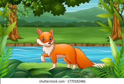 Fox cartoon walking in the nature