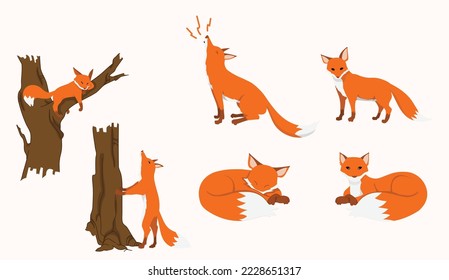 Fox character in 6 action