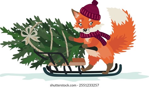 Fox with a Christmas tree, illustration. Fox takes a Christmas tree on a sled from the forest, New Year concept. Cute fox in a hat and with a scarf. Preparation for Christmas