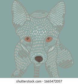 fox close up animal cover