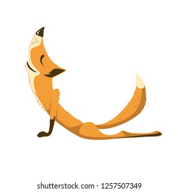 Fox in Cobra pose, yoga. Asana demonstration.