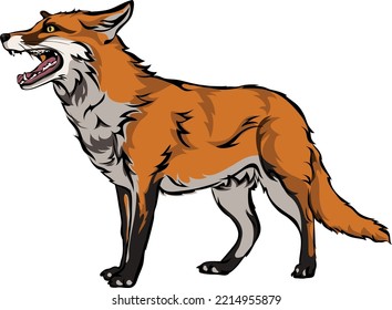 Fox, color. vector image of a fox, vector illustration for use in logos, signs, trademarks, for design and advertising